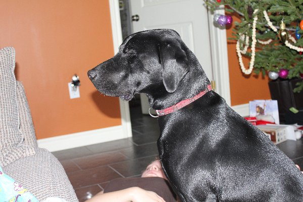 New Camera Dec2010 170